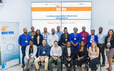 The MRV Hub Launches Regional Agriculture Work Crew for GHG Inventory Development