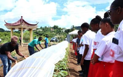 From Data to Resilience: The MRV Hub Supports Climate-Smart Agriculture in Saint Lucia